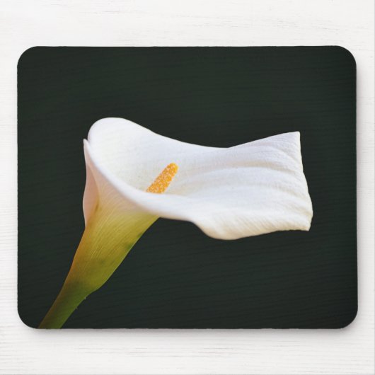 White Calla Lily Flower Muismat (Voorkant)