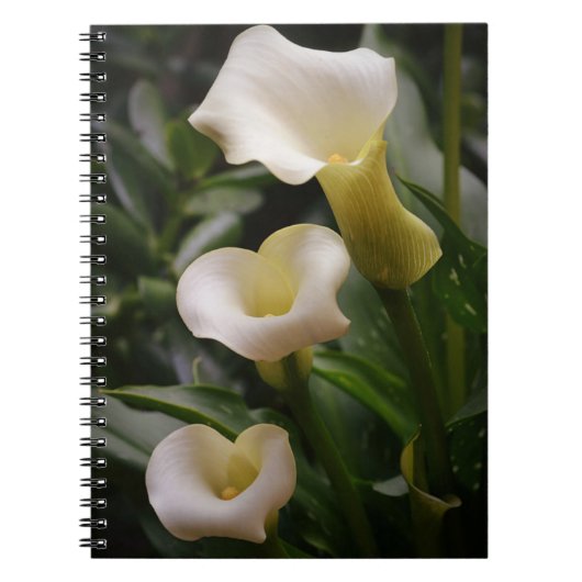 White Calla Lily Garden Journal Notitieboek (Voorkant)