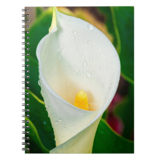 White Calla Lily Macro Botanical Photo Nature Art Notitieboek