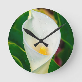 White Calla Lily Macro Botanical Photo Nature Art Ronde Klok