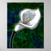 White Calla Lily (Semi-Gloss-Poster) Poster (Voorkant)
