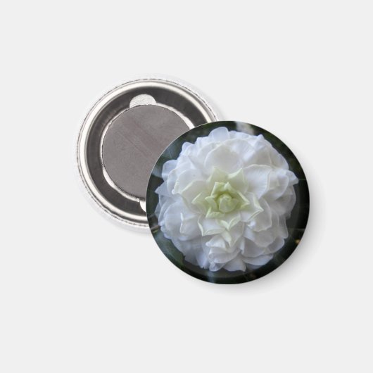 White Camelia Photo Circle Magnet (Voorkant / Achterkant)