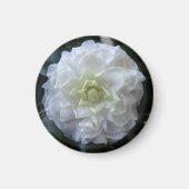 White Camelia Photo Circle Magnet (Voorkant)