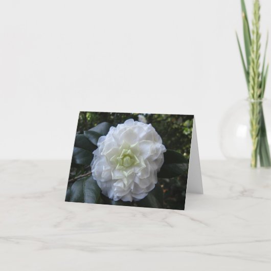 White Camelia Photo Folded Note Kaart (Voorkant)