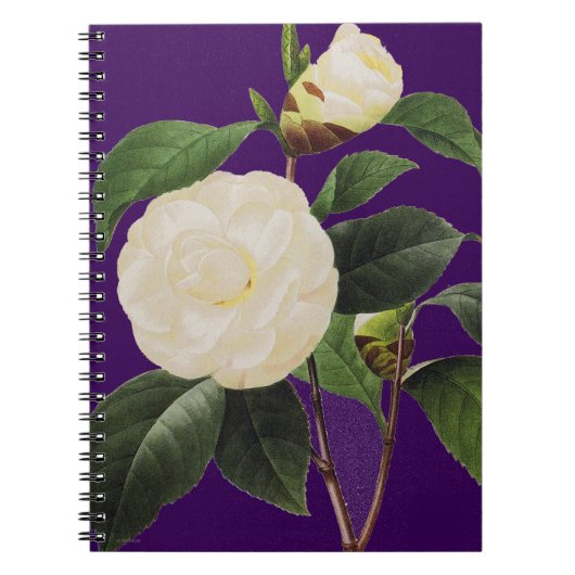 White Camellia, 1833 Notitieboek (Voorkant)