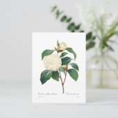 White Camellia Briefkaart (Staand voorkant)