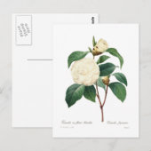 White Camellia Briefkaart (Voorkant / Achterkant)