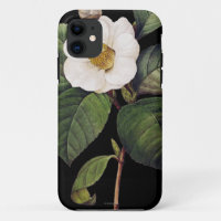 White Camellia