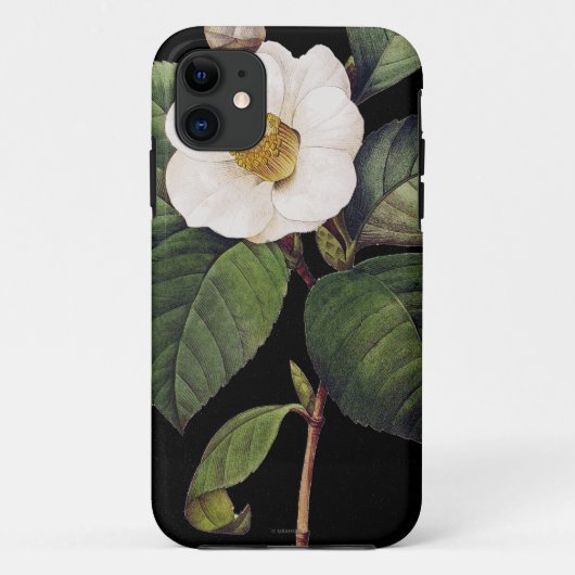 White Camellia Case-Mate iPhone Case (Achterkant)