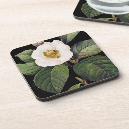 White Camellia Drankjes Onderzetter (Linkerzijde)