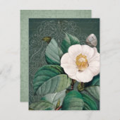 White Camellia Flat Wenskaart (Voorkant / Achterkant)