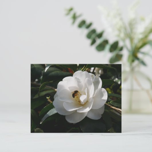 White Camellia Flower Briefkaart (Staand voorkant)