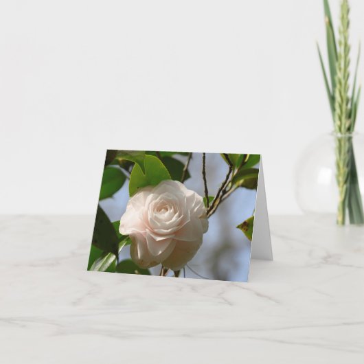 White Camellia Folded Bedankt Kaart (Voorkant)