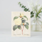 White Camellia Japonica  Botanical Briefkaart (Staand voorkant)