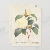 White Camellia Japonica  Botanical Briefkaart (Voorkant / Achterkant)
