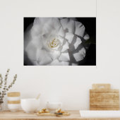 White Camellia Poster (Keuken)