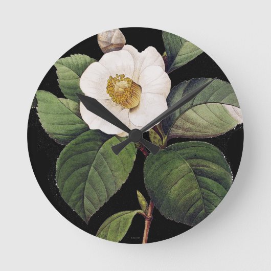White Camellia Ronde Klok (Voorkant)