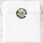 White Camellia Ronde Sticker (Tas)