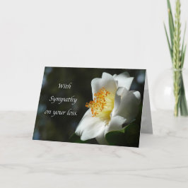 "White Camellia Sympathie." Wenskaart Kaart