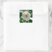 White Camellia Vierkante Sticker (Tas)