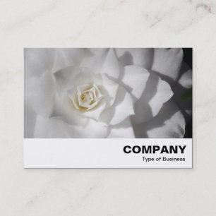 White Camellia Visitekaartje