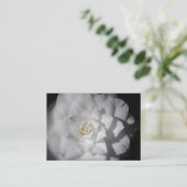 White Camellia Visitekaartje (Staand voorkant)