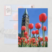 White Canadian Tulip Festival, Peace Tower met u Briefkaart (Voorkant / Achterkant)