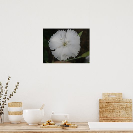 White Carnance Print (Keuken)