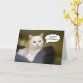 White Cat Brother Birthday Humor Card Kaart (Gele Bloem)