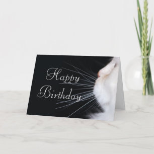 White Cat Design 1 Happy Birthday Wenskaart Kaart