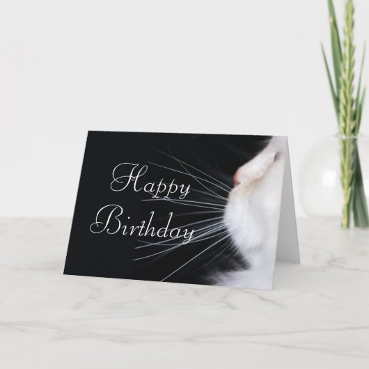 White Cat Design 1 Happy Birthday Wenskaart Kaart (Voorkant)