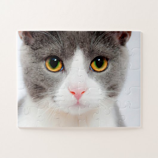 White Cat Face, Easy Cat Legpuzzel (Horizontaal)