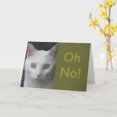 White Cat foto humoristisch krijgen goed kaart (Gele Bloem)