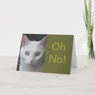 White Cat foto humoristisch krijgen goed kaart