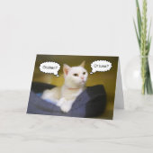 White Cat Funny Birthday Card Kaart (Voorkant)