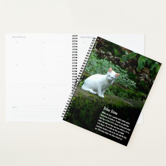 White Cat Kalender Planner (Display)