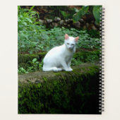 White Cat Kalender Planner (Achterkant)