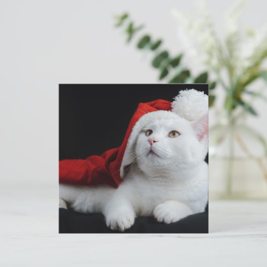 White Cat Kerstmis Kaart (Staand voorkant)