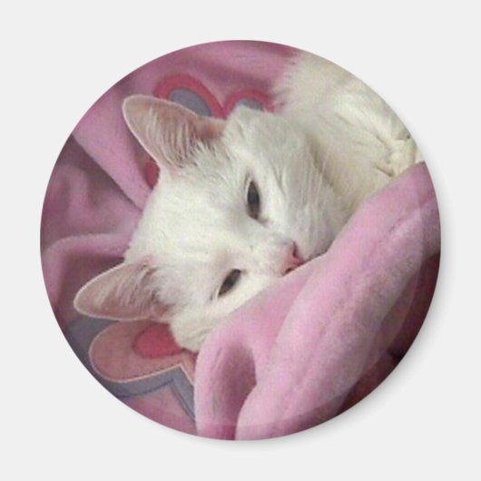 White Cat Magnet (Voorkant)