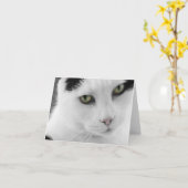White Cat Note Card Kaart (Gele Bloem)