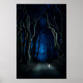 White Cat on Canopy Road at Night Poster Kunstdruk (Voorkant)