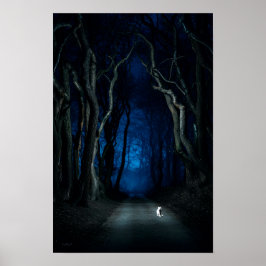 White Cat on Canopy Road at Night Poster Kunstdruk