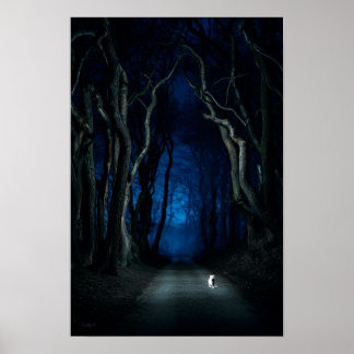 White Cat on Canopy Road at Night Poster Kunstdruk
