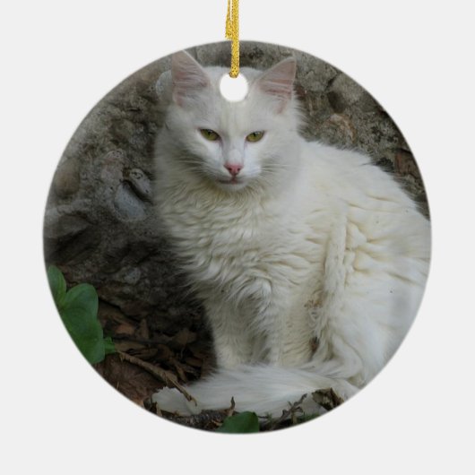 White Cat Ornament (Achterkant)