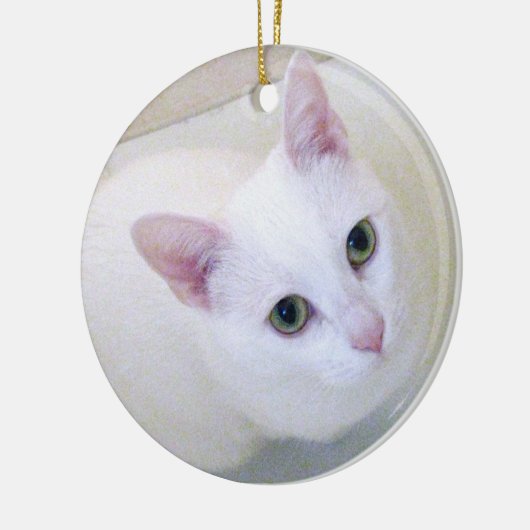 White Cat Ornament (Links)