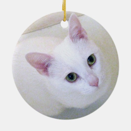 White Cat Ornament (Achterkant)