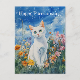 White Cat Postcrossing - Briefkaart