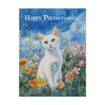 White Cat Postcrossing - Briefkaart