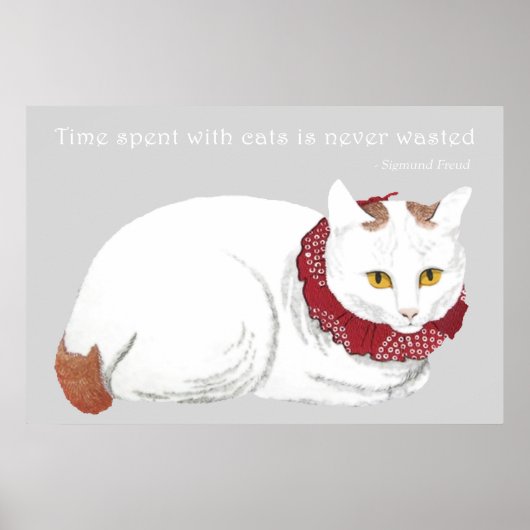 White Cat Poster Print (Voorkant)