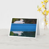 White Cat Reflection Card Kaart (Gele Bloem)